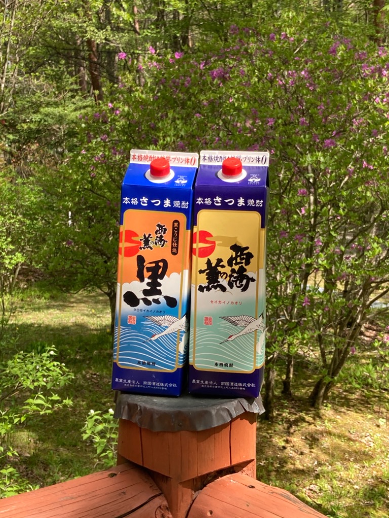 原口酒造 5/15限定P3倍 焼酎 芋焼酎 西海の薫 パック 25度