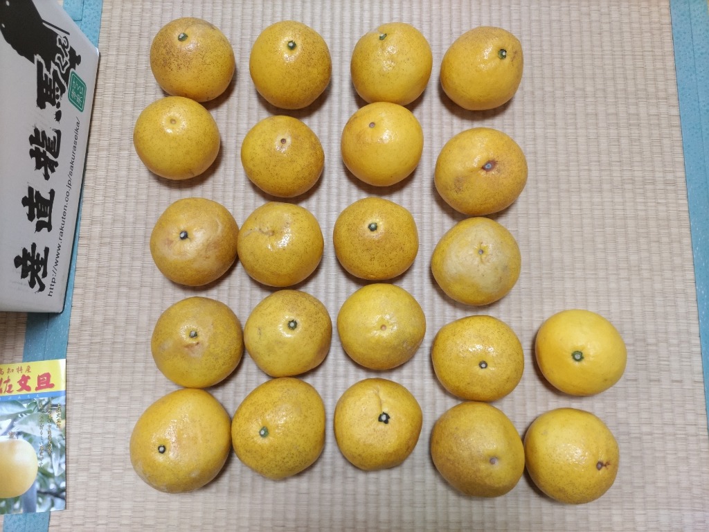 全体のレビュー画像 | 7-0