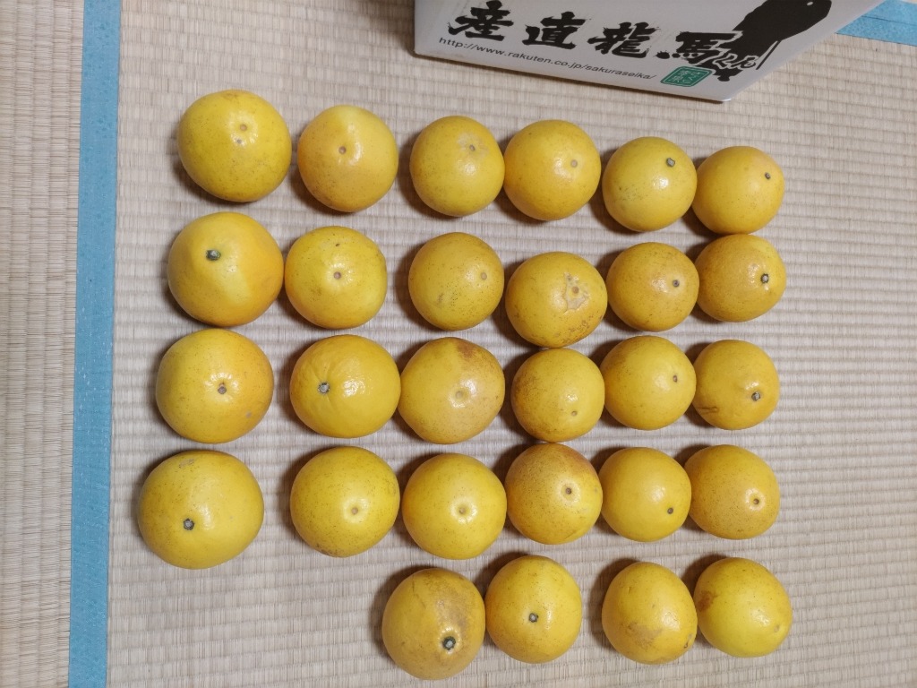 全体のレビュー画像 | 13-0