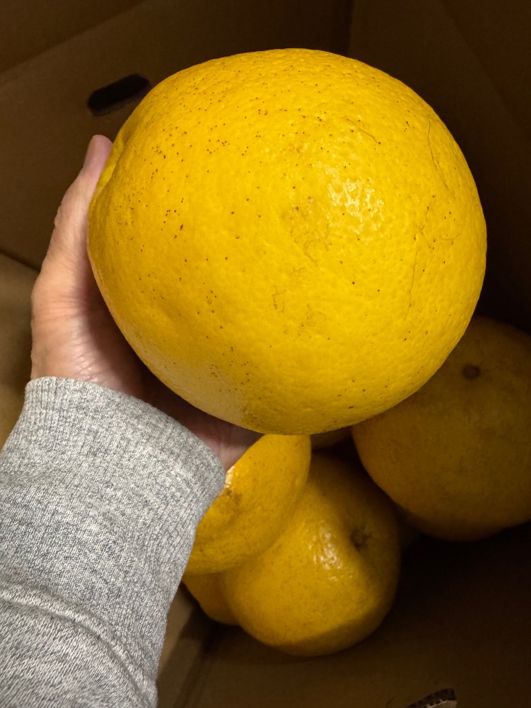 全体のレビュー画像 | 2-0