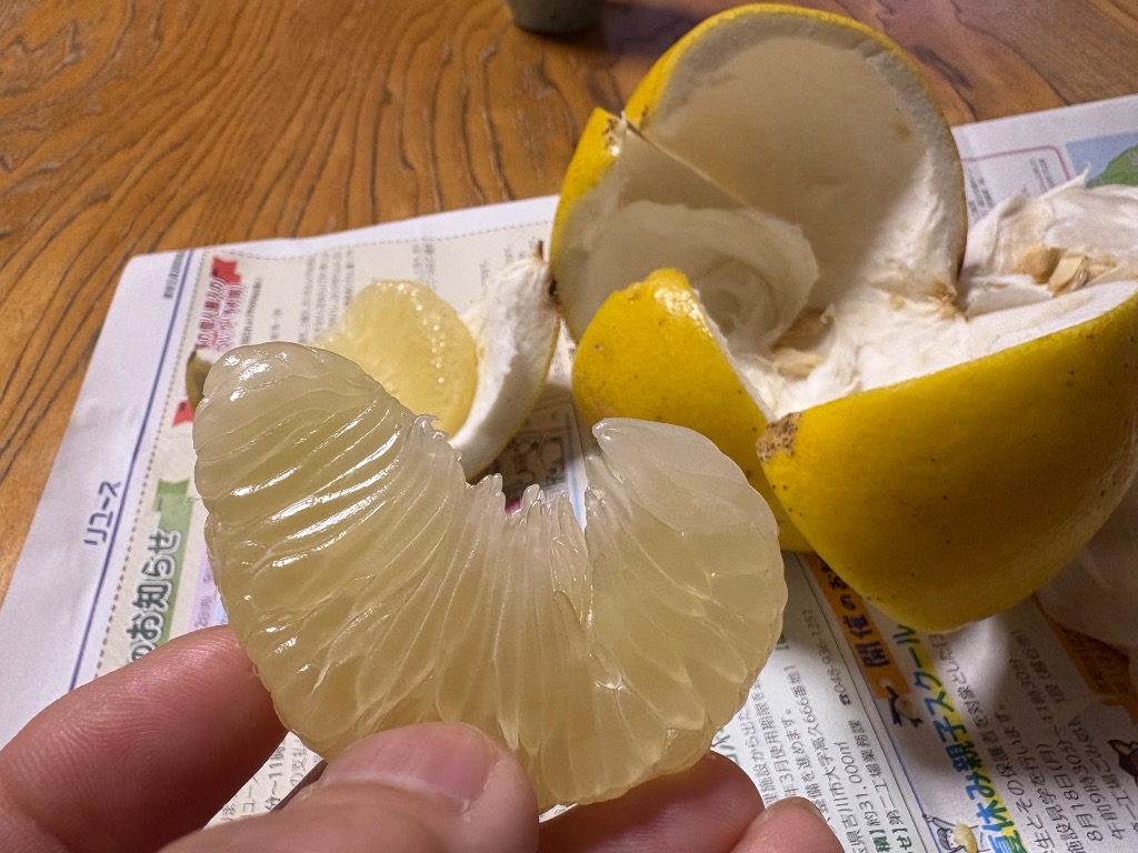 全体のレビュー画像 | 0-2