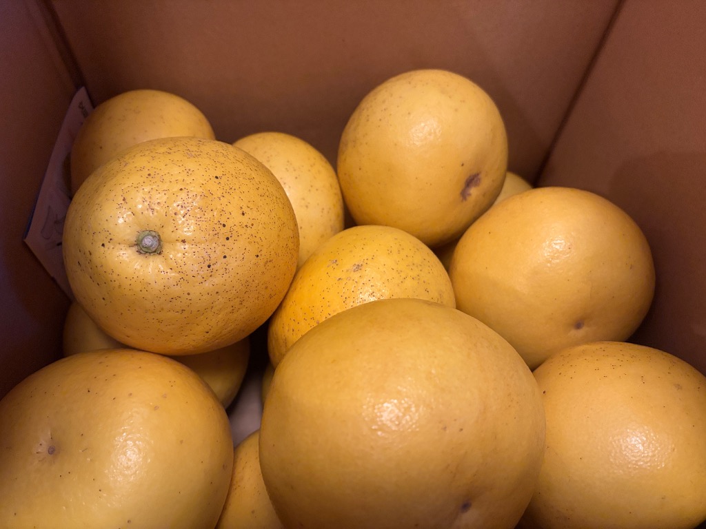 全体のレビュー画像 | 0-1