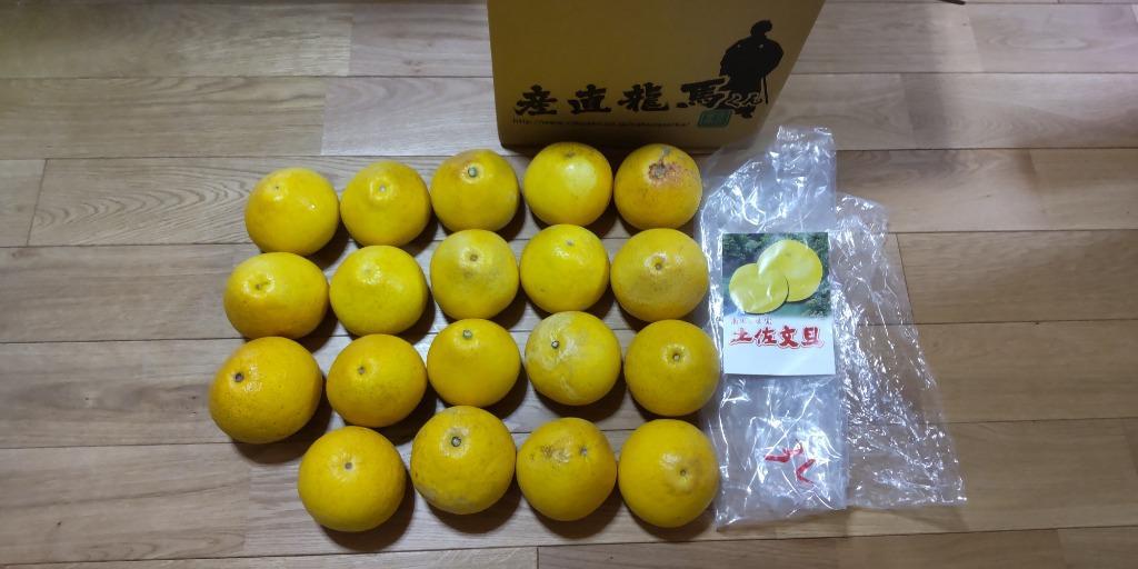 pyon pyon　高知産　訳あり露地土佐文旦　大玉 4L 10kgx2 sakuraseika_buntanwakef-3l10kg