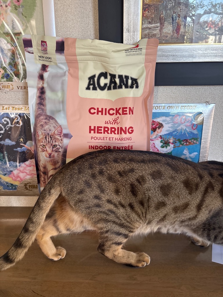 ACANA アカナ インドアエントリーキャット 4.5kg