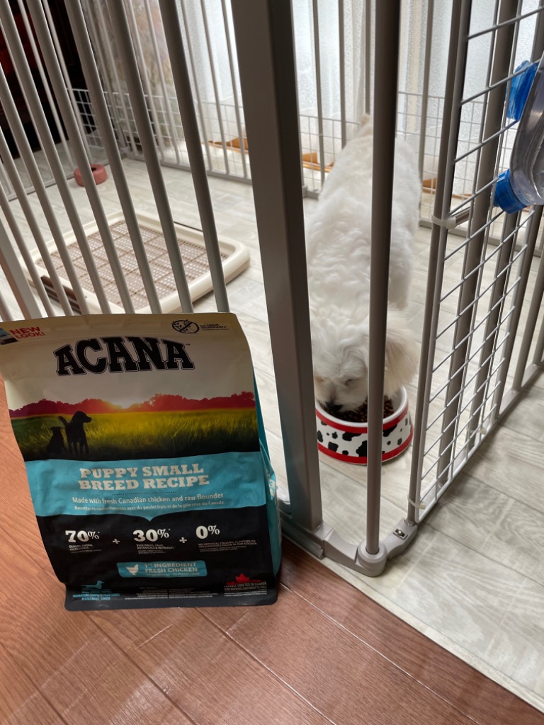 ACANA アカナ パピースモールブリードレシピ（小型犬子犬用