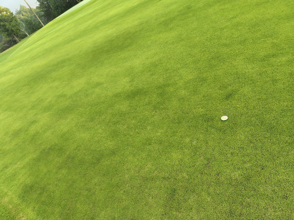 1件目のレビュー画像 | 1