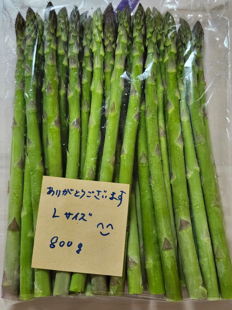 長野県産 アスパラガス 極上 Lサイズ 800g : 真田たろう商店
