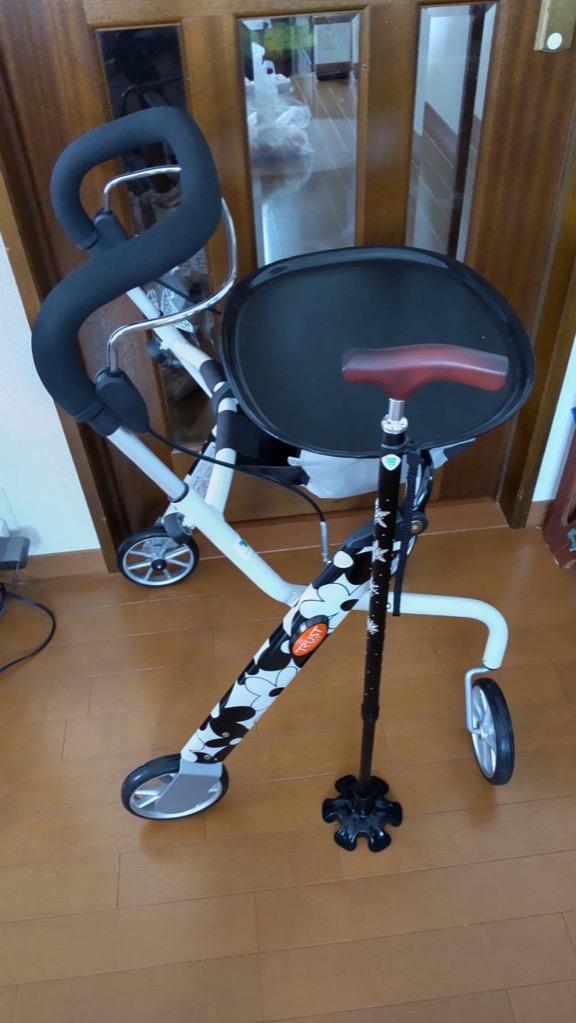 竹虎 (竹虎) 室内用歩行車 レッツゴーミニ 117502 117503 117504 竹虎 (竹虎) 室内用歩行車 レッツゴーミニ 117502 117503 117504