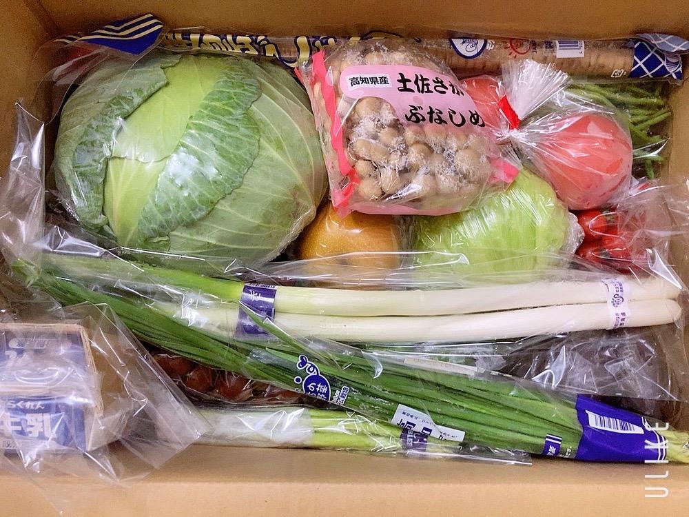 産直あきんど厳選野菜の詰め合わせ21品+牛乳1本+卵10個セット+秘密のオマケ付き 送料無料  :vegetables-yasainotumeawase-017:新鮮市場 産直あきんど - 通販 - Yahoo!ショッピング