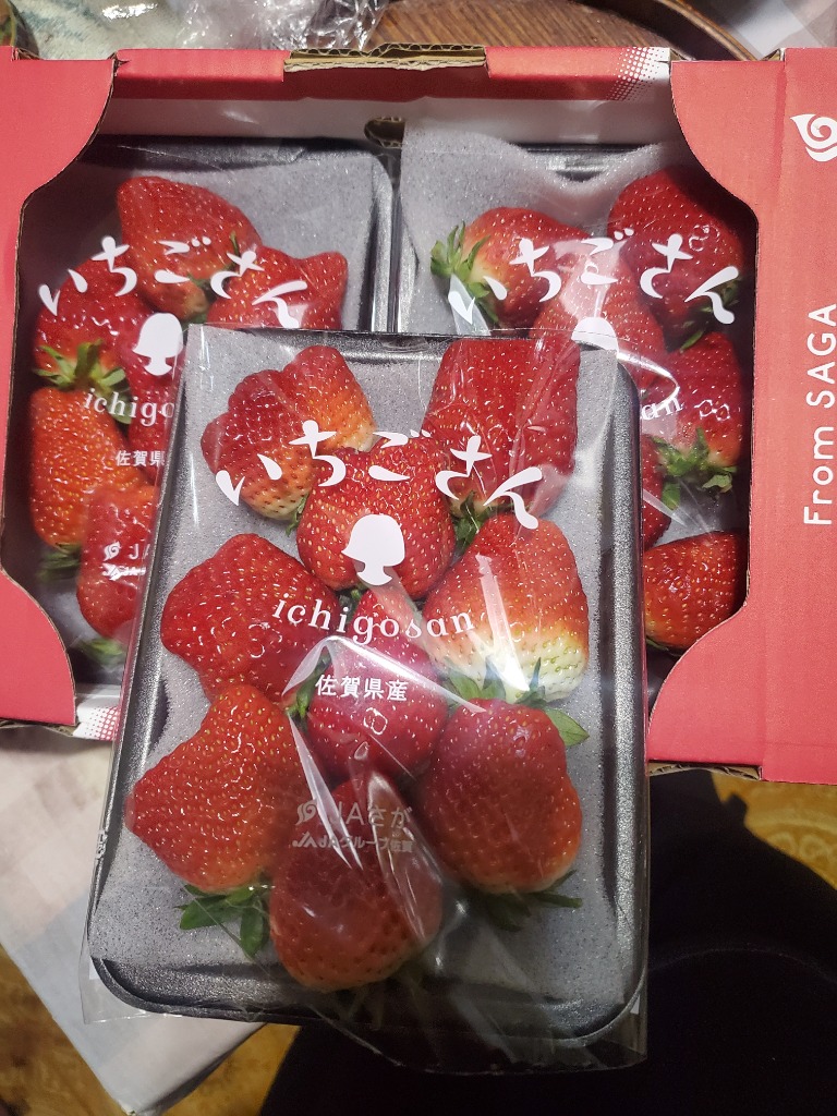 いちごさん 8101-50087cp.jpg