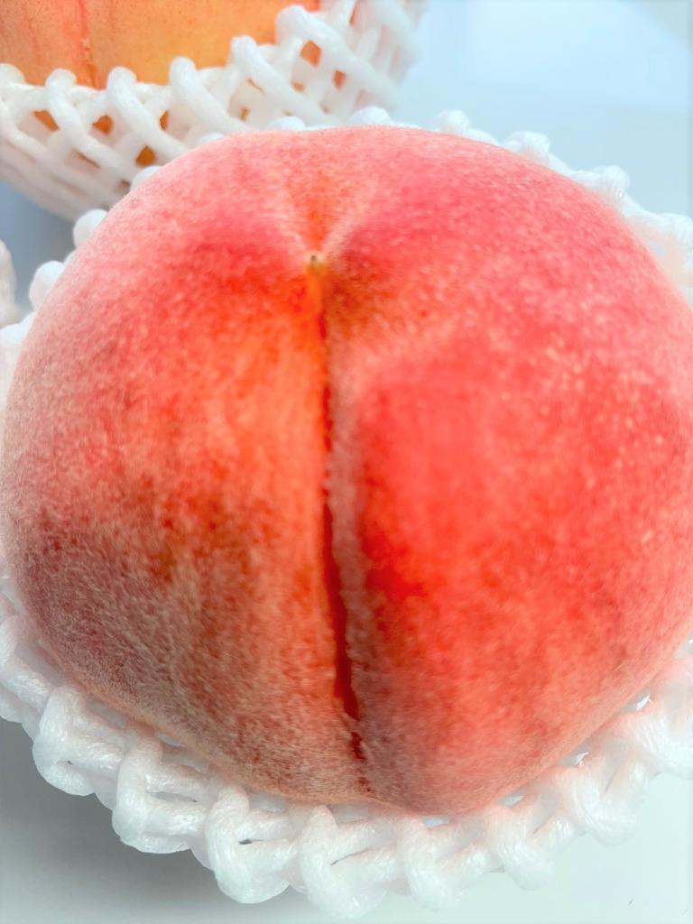 3件目のレビュー画像 | 1