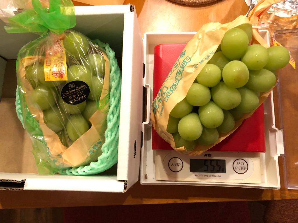 長野県産 シャインマスカット 約1キロ（2房）送料無料 ぶどう ブドウ