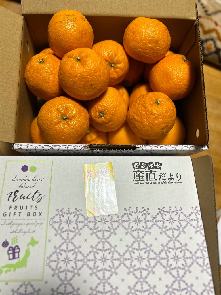 レビュー画像