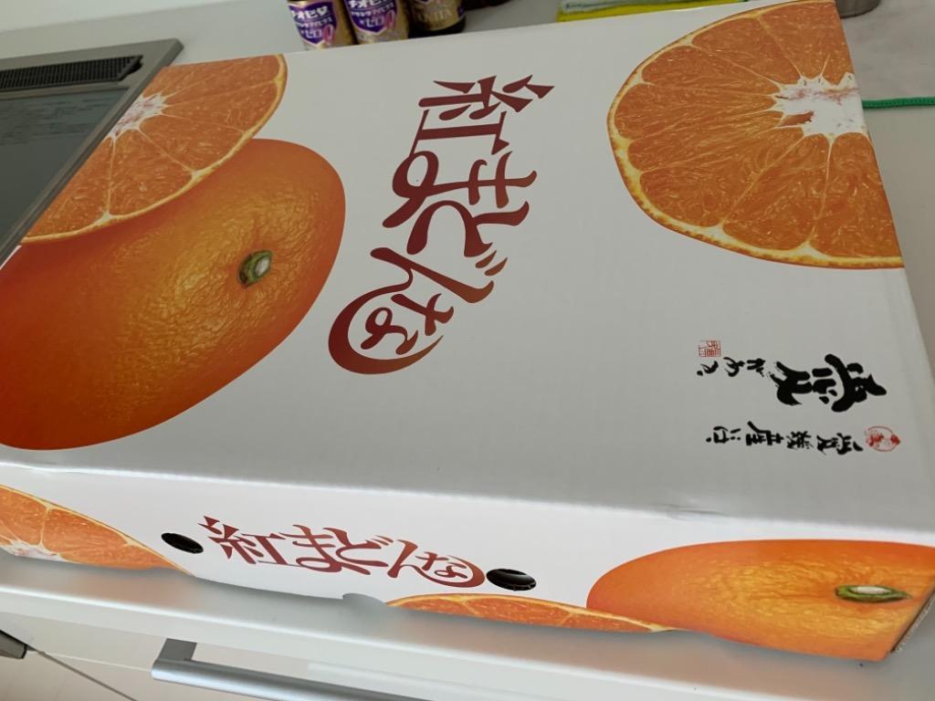 紅まどんな　もぎたて直送　愛媛県産　紅マドンナ 楽天市場】【ふるさと納税】【11月下旬から順次発送】【期間