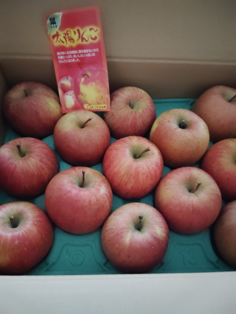 青森りんご アルプス乙女 1kg 産地直送・通販 RED APPLE(レッド