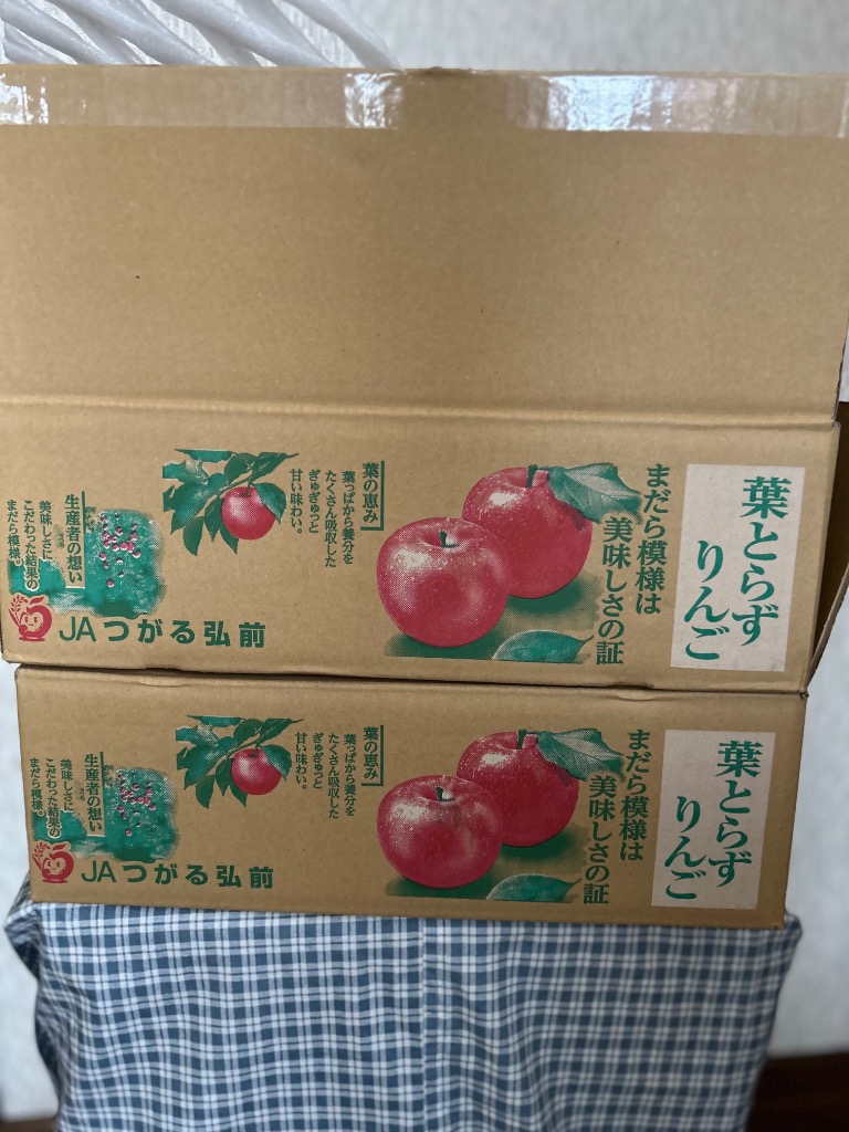 青森県から産地直送 JAつがる弘前 葉とらず太陽ふじりんご 糖度 青森県から産地直送 JAつがる弘前 葉とらず太陽ふじりんご 糖度