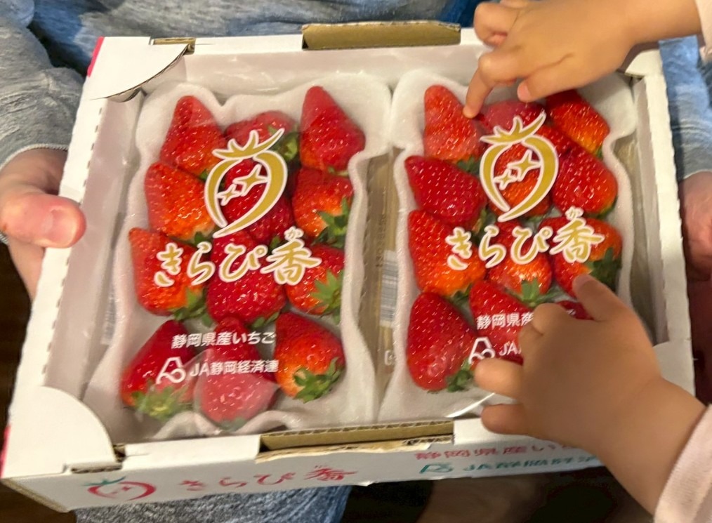 静岡県より産地直送 JAふじ伊豆 プレミアムいちご きらぴ香 DX