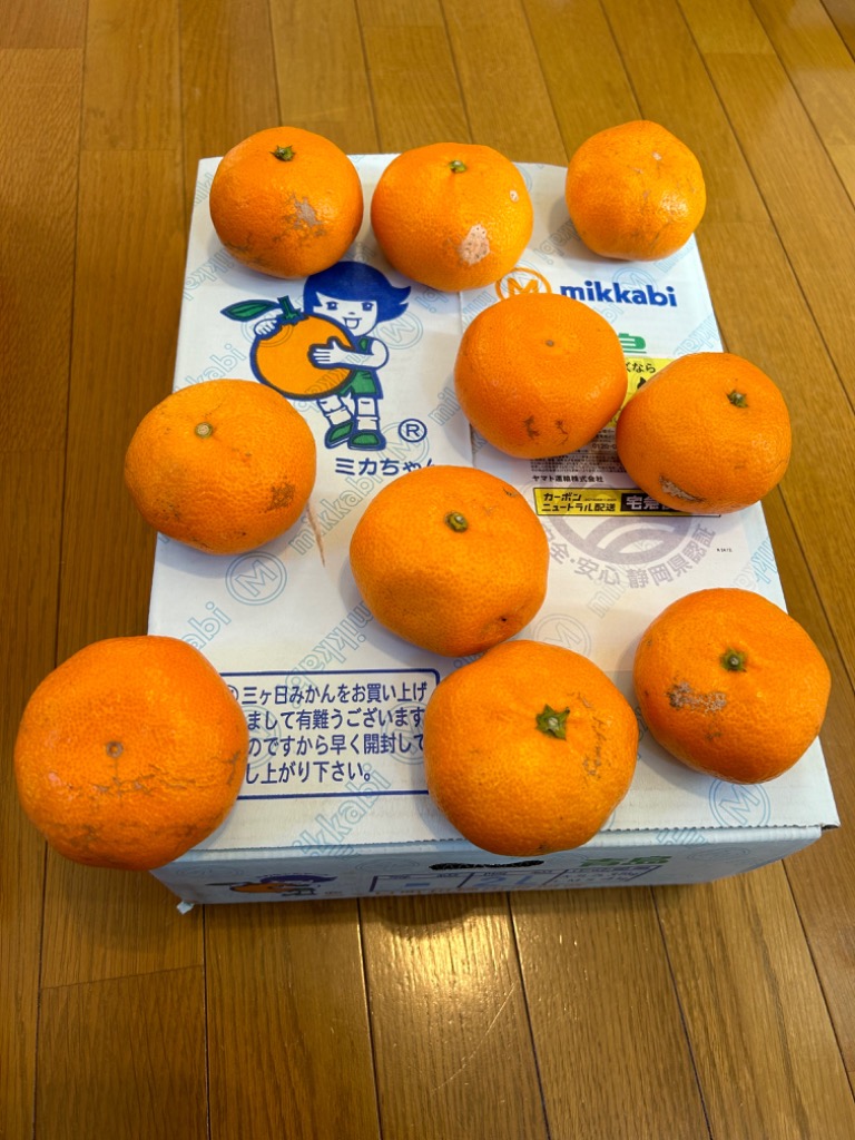 静岡県より産地直送 JAみっかび 三ケ日みかん (青島種) 2Lサイズ
