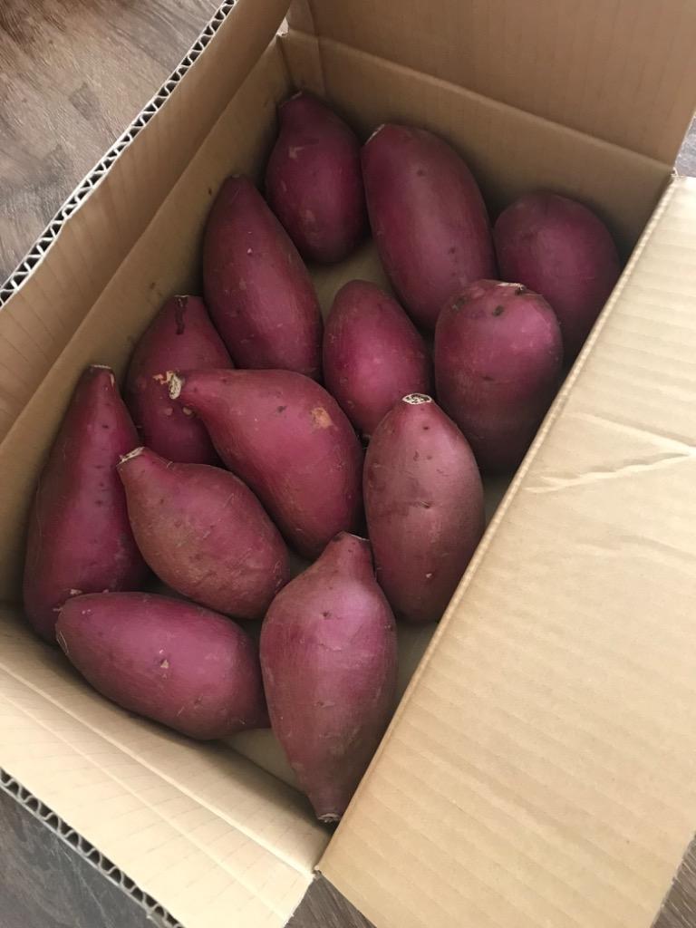 千葉県産 JAかとり シルクスイート 2LからL 約5キロ（形不揃い