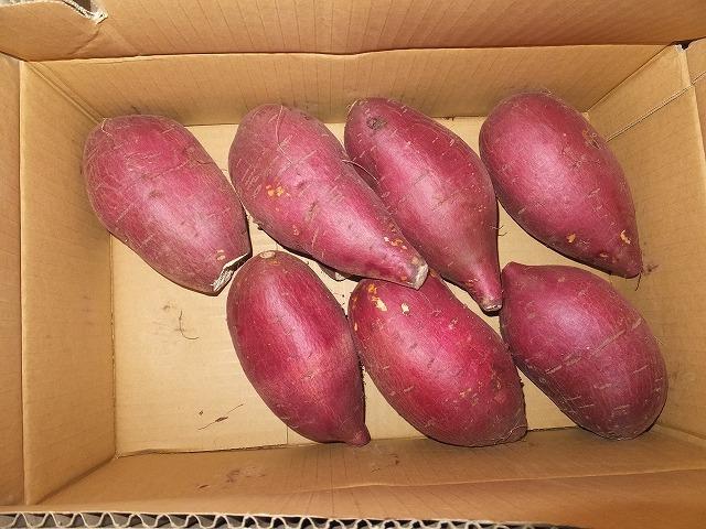 千葉県産 JAかとり シルクスイート 2LからL 約5キロ（形不揃い