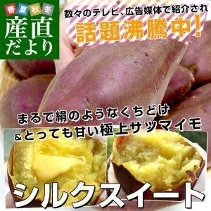 千葉県産 JAかとり シルクスイート Lサイズ2.5キロ 7本前後 送料