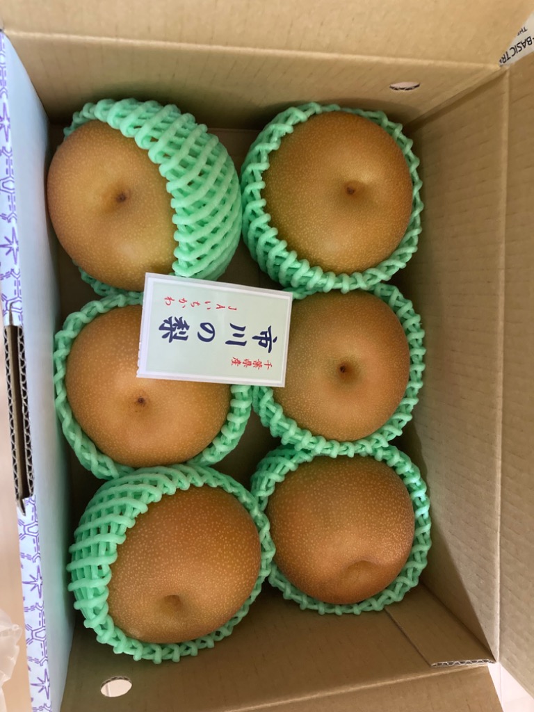 千葉県産 JAいちかわ 市川の梨 （柏井または市川中央支部）優品以上
