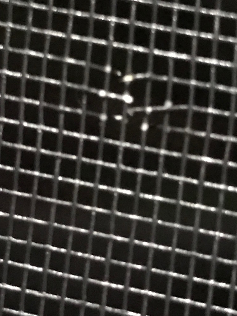 全体のレビュー画像 | 0-0
