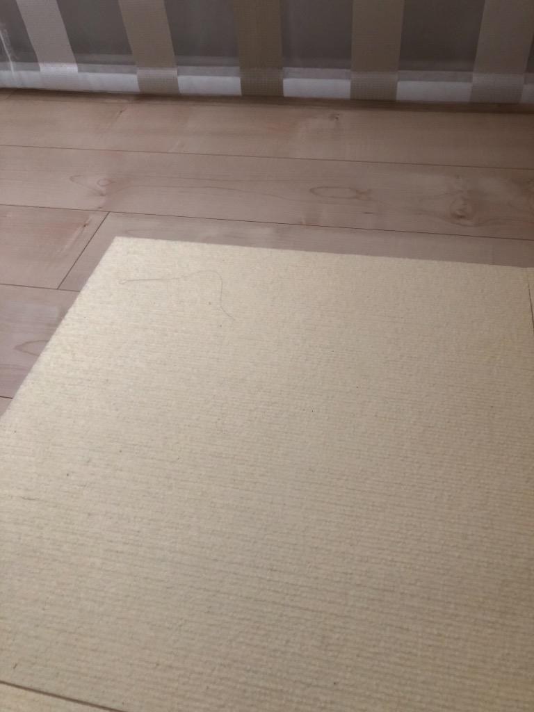 全体のレビュー画像 | 10-1