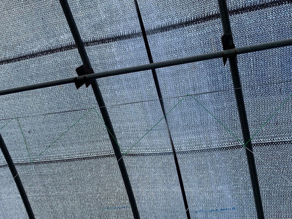 三方良し 遮光ネット 8m×50m 遮光率50% 黒 [農業用遮光シート 農業資材