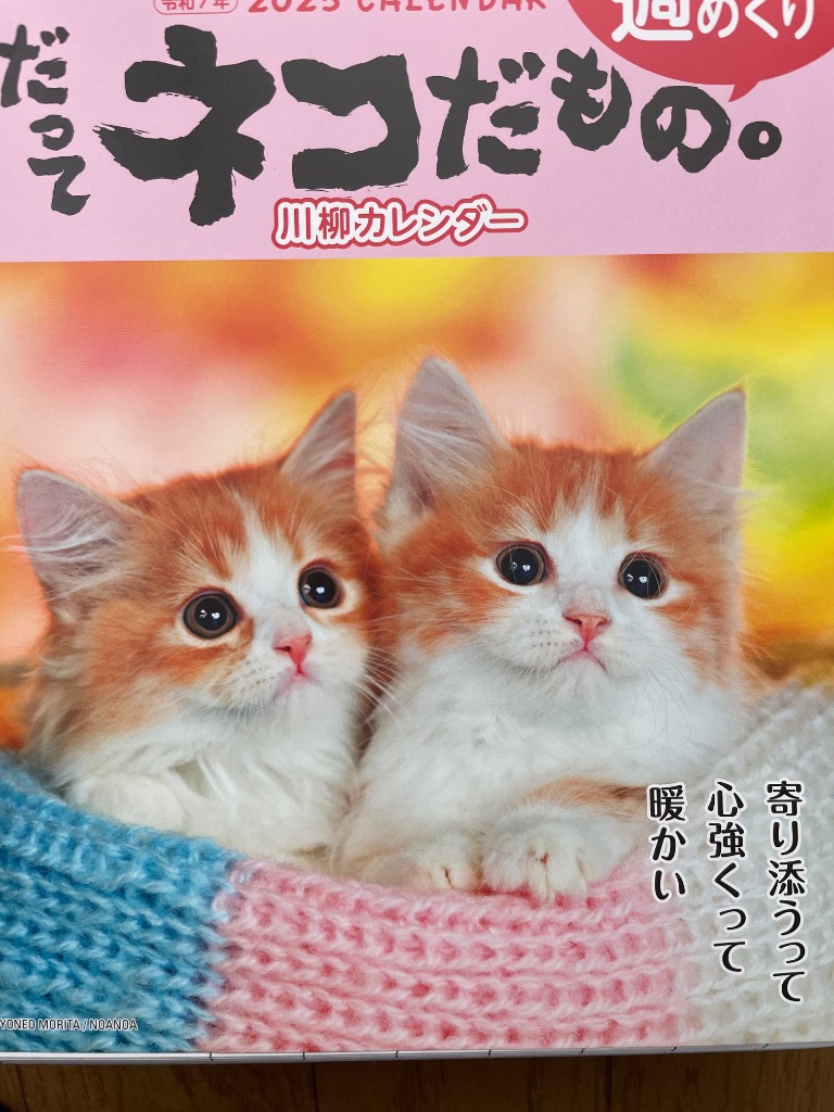 楽天市場】【楽天モバイル限定2000円OFFクーポン・割引クーポン