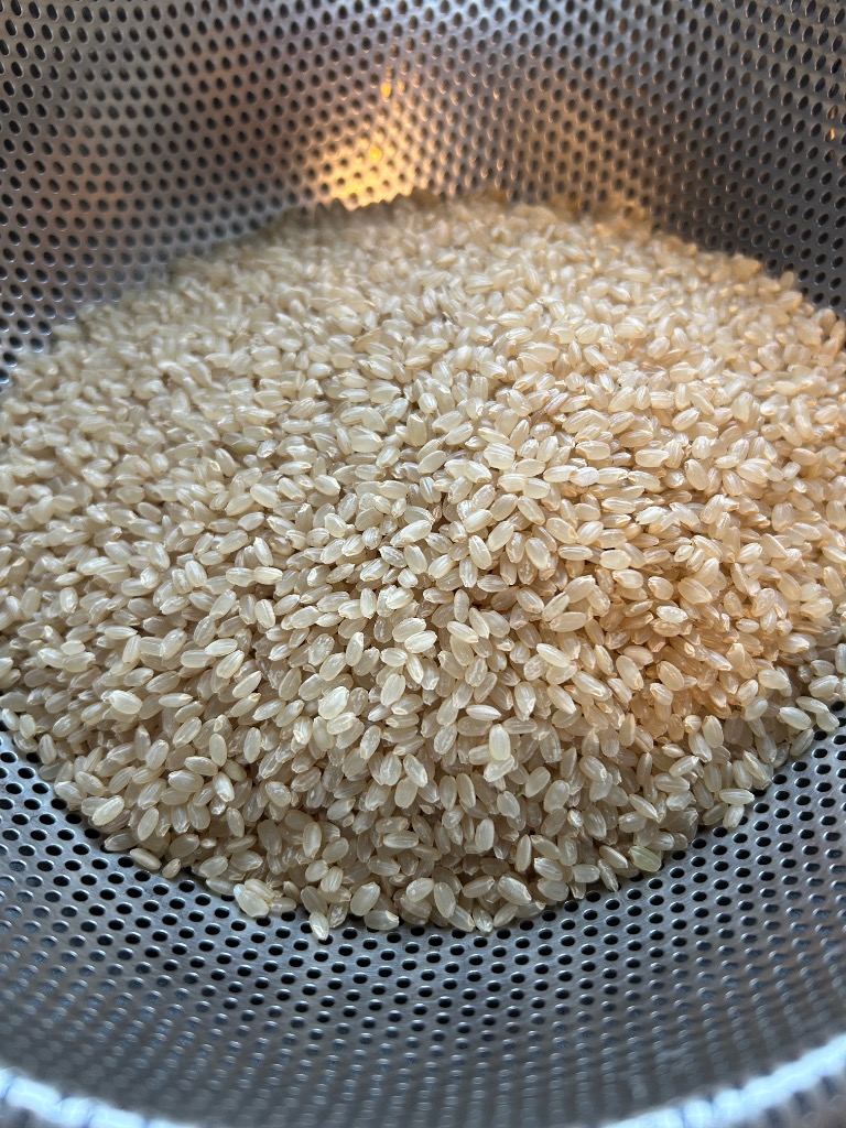 玄米 30kg コシヒカリ 特別栽培米 京都丹波産 「令和6年産 玄米 30kg コシヒカリ 特別栽培米 京都丹波産 「令和6年産