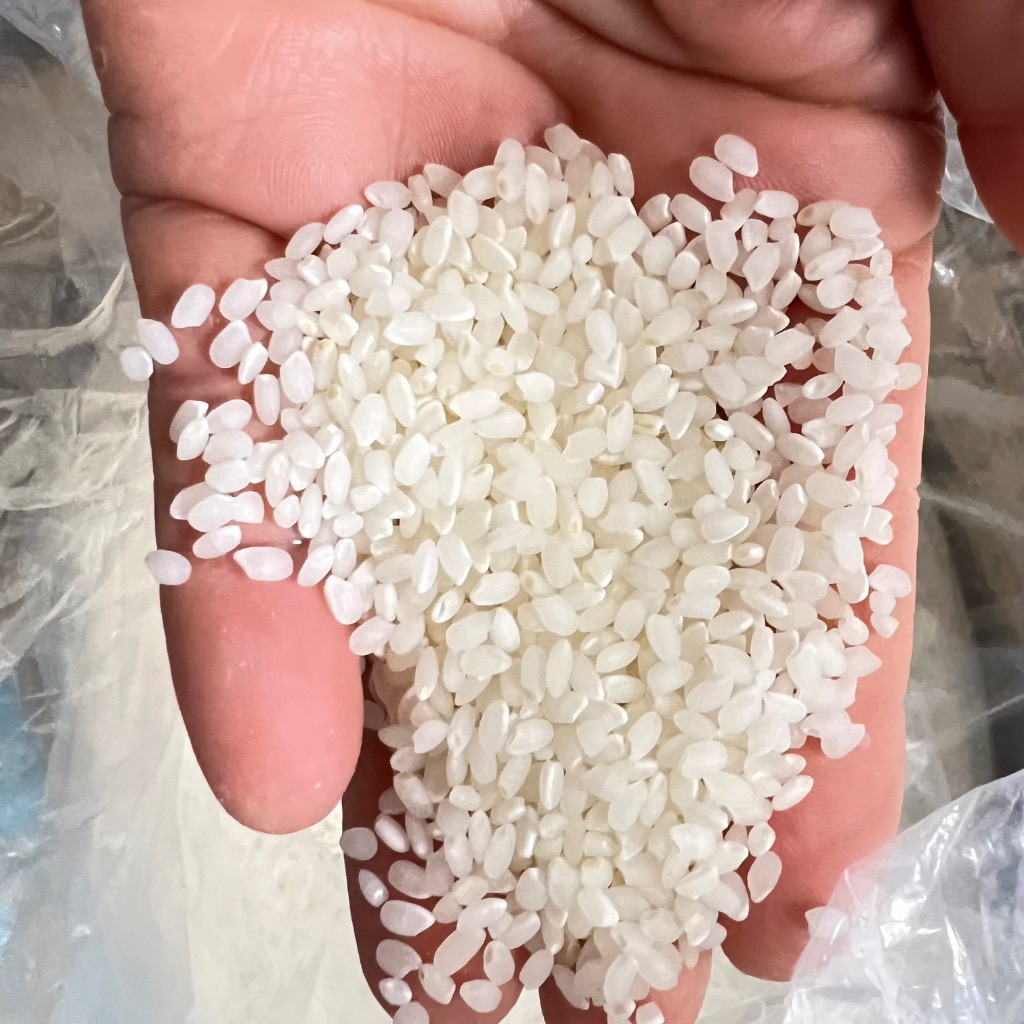 令和6年産「京都府丹後産ミルキークイーン」玄米30㎏　送料無料サービス！！ 特別栽培米 玄米 梅田農場の京都丹後ミルキークイーン 30kg「令