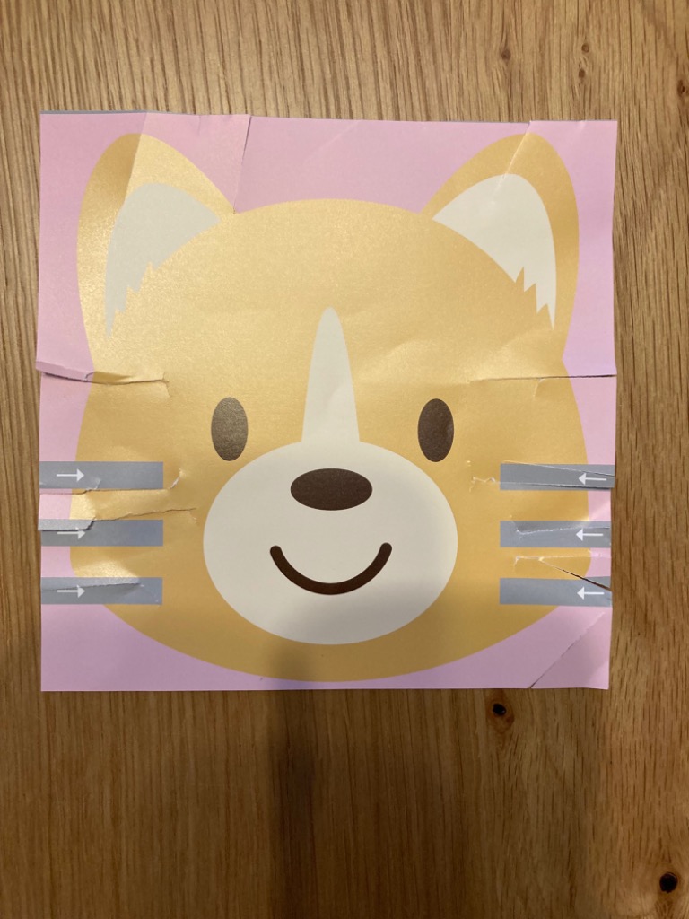 レビュー画像