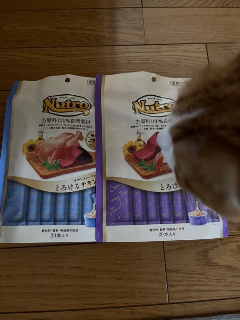 ニュートロ 猫用 おやつ とろけるシリーズ 20本入り 選べる2種セット 送料無料 :Nutro-Torokeru-All2:Sara商店 通販  