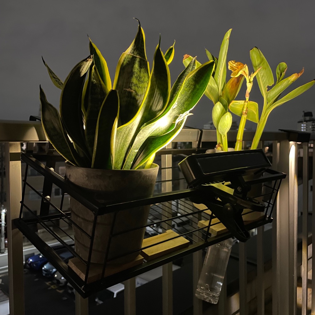 全体のレビュー画像 | 1-0