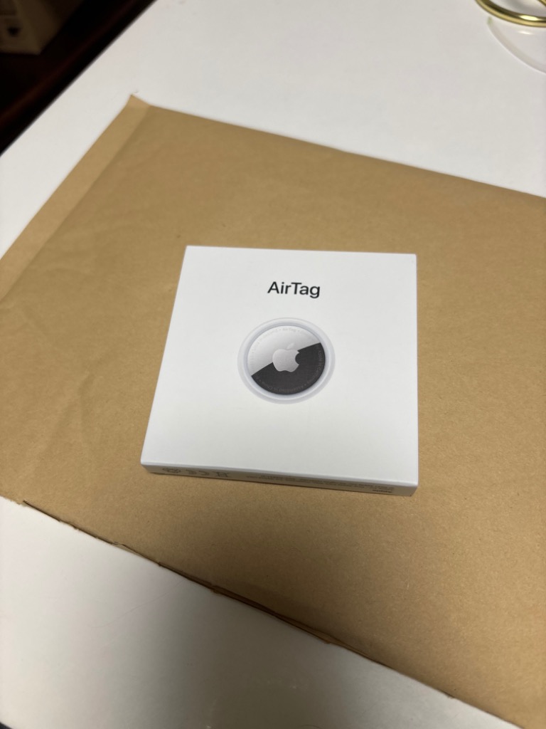 AirTag エアタグ Apple 本体 アップル エアタグ 1個 バラ売り 簡易説明 