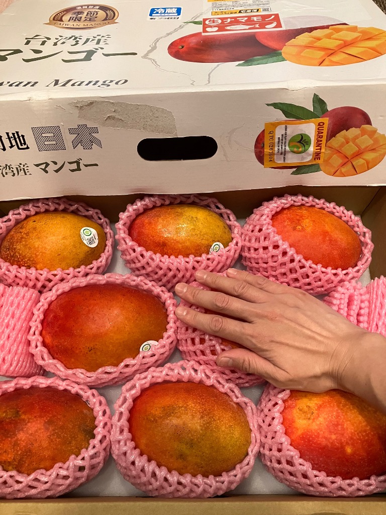 完熟台湾マンゴー 約5kg 8〜12玉入 空輸 化粧箱入 大玉 最高級