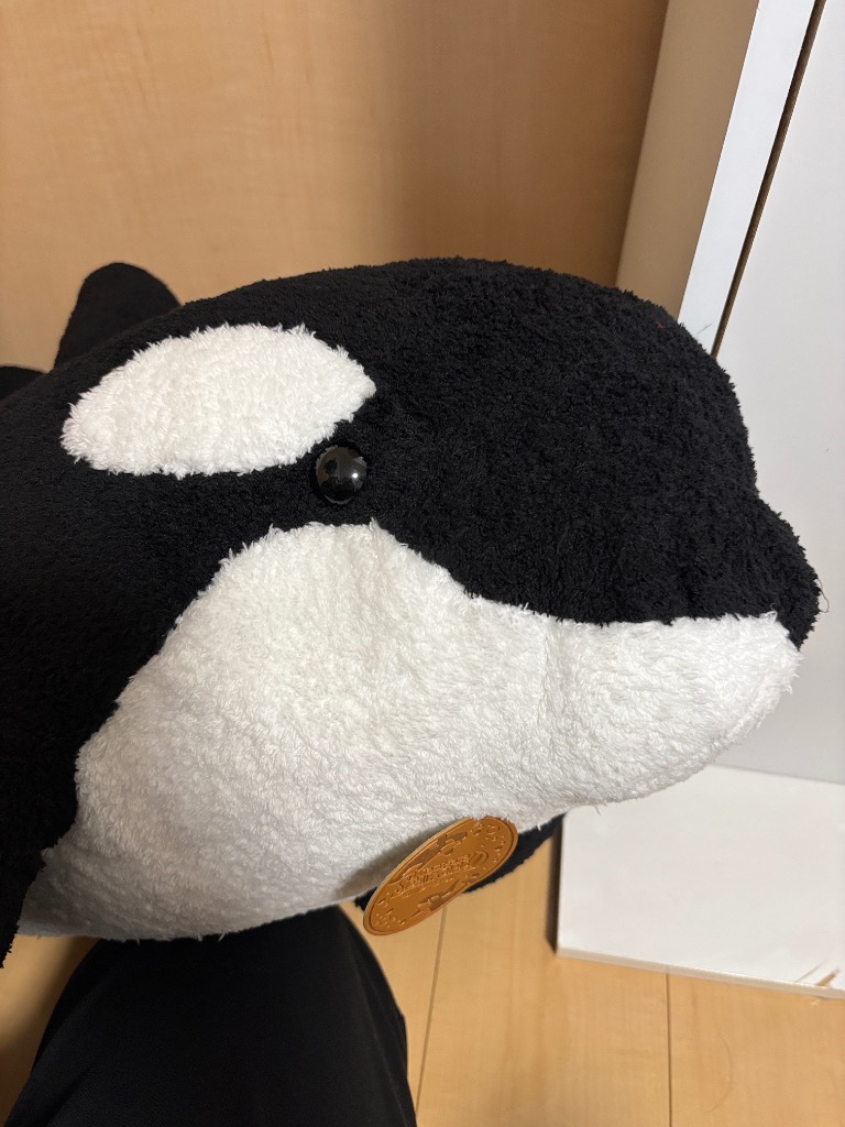 1件目のレビュー画像 | 2