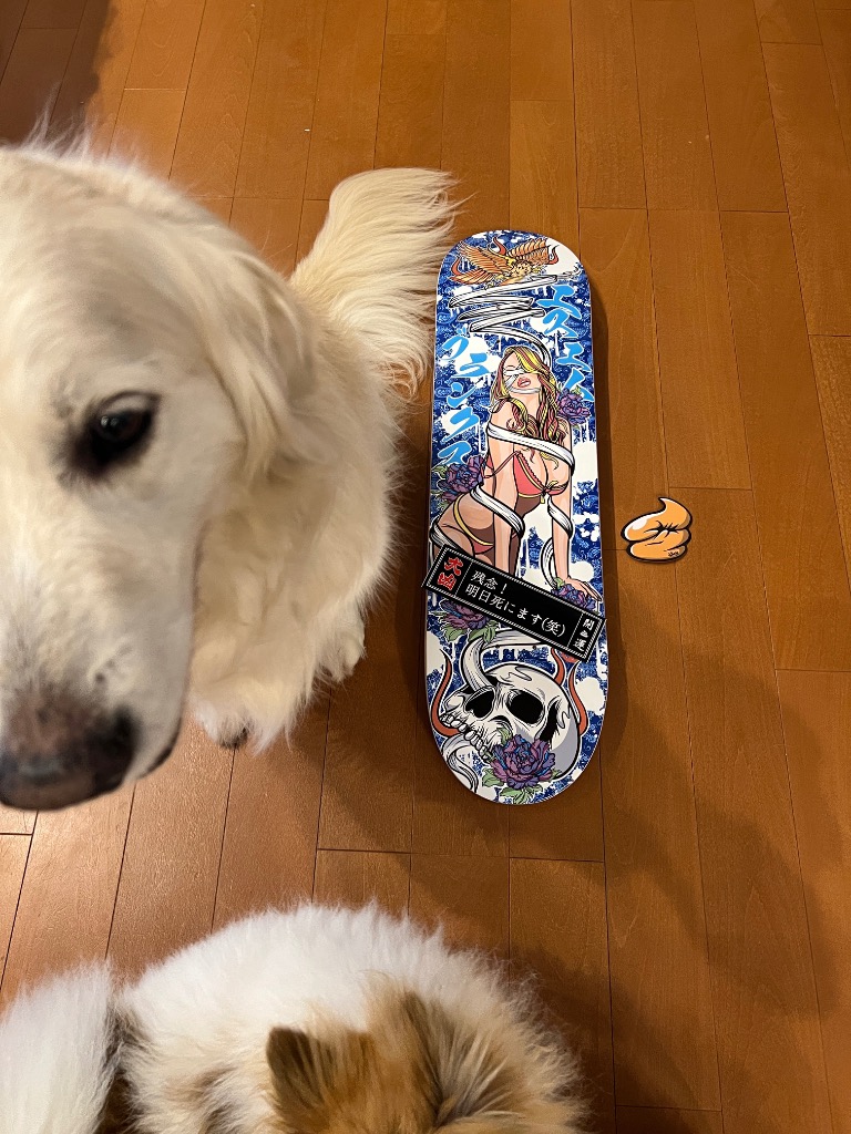 レビュー画像
