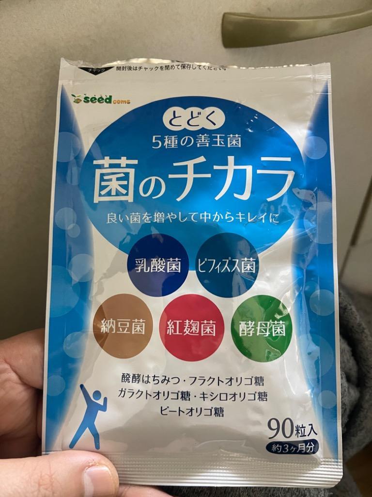 サプリ サプリメント 菌のチカラ BIGサイズ約1年分 ビフィズス菌 乳酸菌 ナットウキナーゼ 紅麹菌 酵母菌 フラクトオリゴ糖 ガラクトオリゴ糖  キシロオリゴ糖 :af3-4:シードコムスYahoo!店 - 通販 - Yahoo!ショッピング