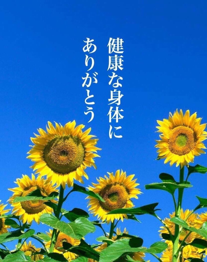 全体のレビュー画像 | 0-0