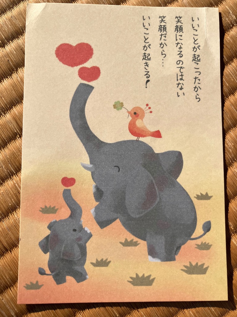 全体のレビュー画像 | 7-0