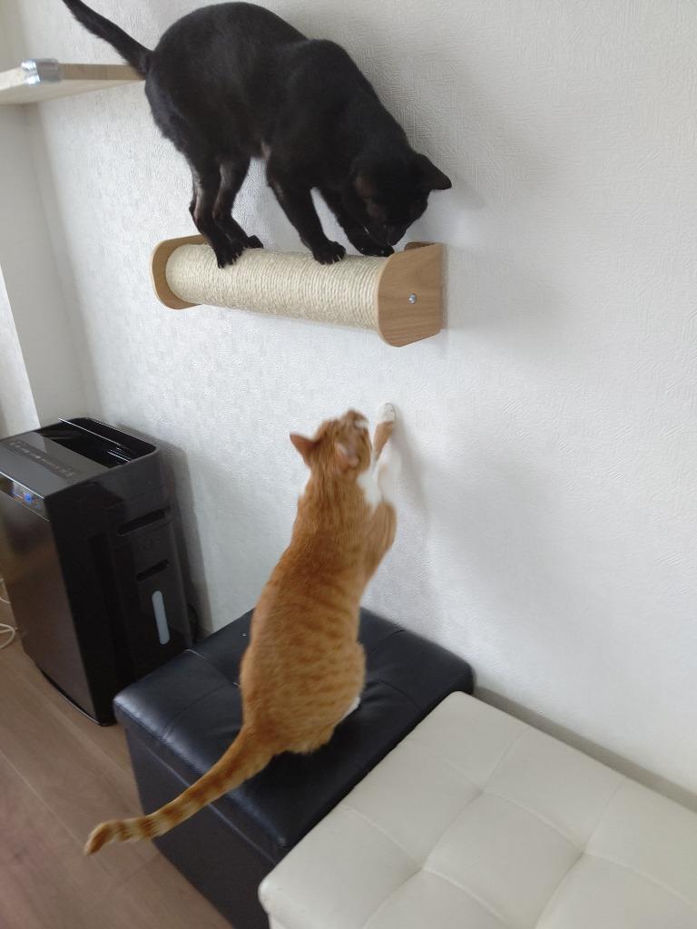 1件目のレビュー画像 | 0