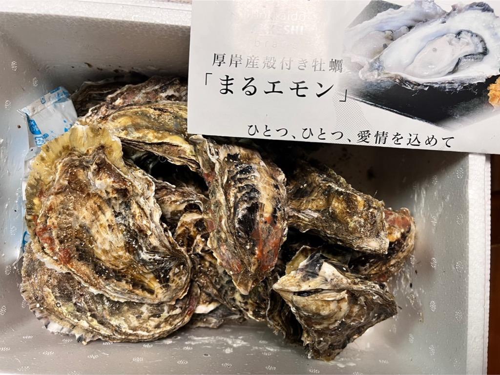北海道 厚岸産 生牡蠣 「マルえもん」3Lサイズ 20個入 殻付 生食可 漁師直送 :ka-004:瀬川食品 通販 