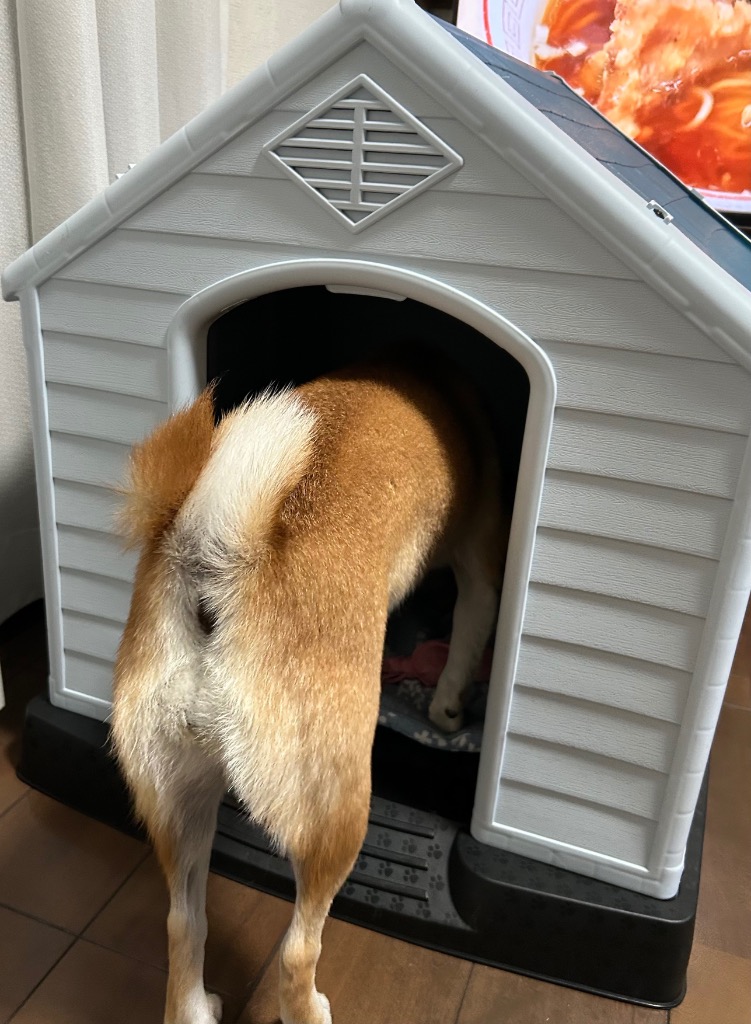 値下げ！オーダーメイド☆犬小屋☆特別価格！ zkh2手作り・オーダーメイドな犬小屋専門店『犬小屋製作工房K』製作ご