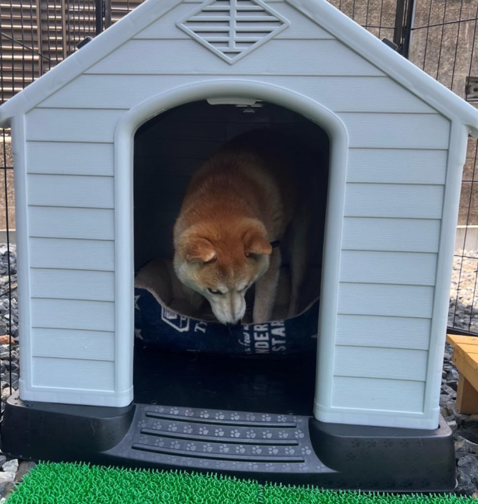 ZENY「セール価格」ペットハウス 犬小屋 犬ハウス 丸洗い OK おしゃれ
