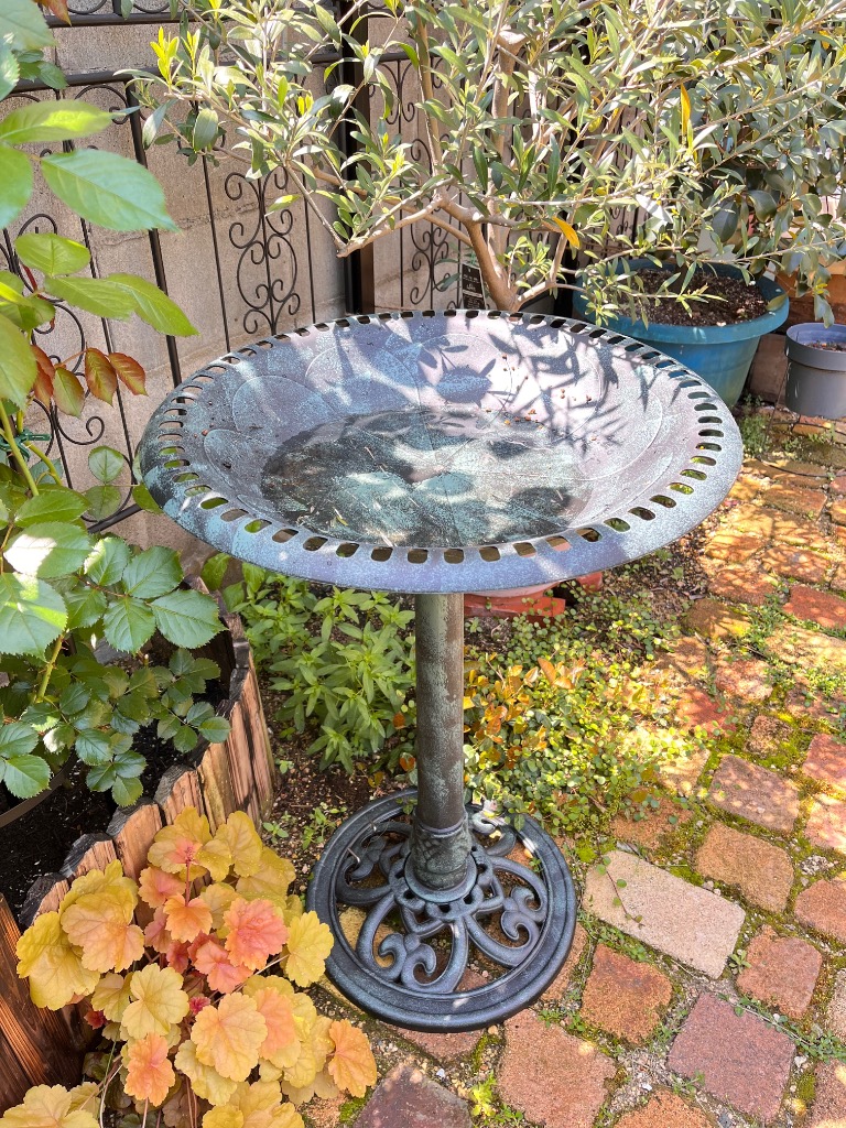 ワンダーデコールバードバスSMALL SHELL スクエア台座 雀のペア付き ワンダーデコールバードバスSMALL SHELL スクエア台座 雀のペア付き