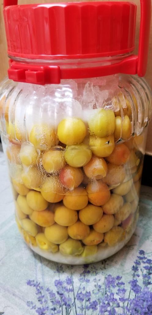 梅まんま様【お待ち下さい】＊ご購入用 スッパイマン 甘梅一番 袋入 65g 上間菓子店 送料無料 メール便