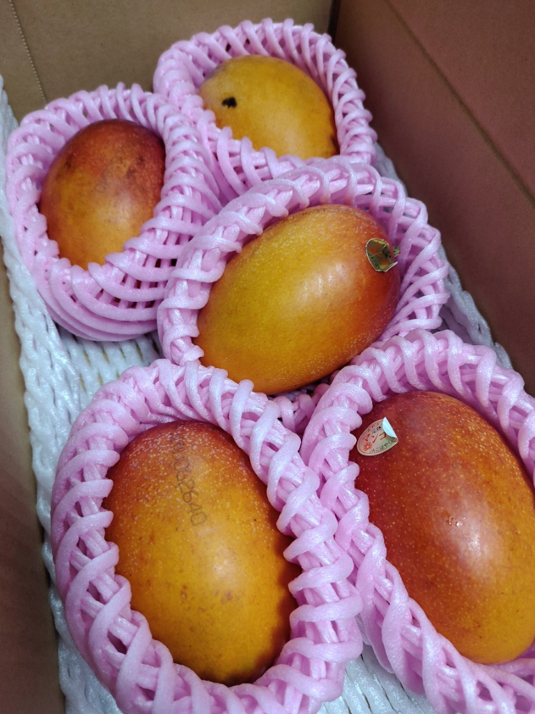 【ご家庭用】宮崎県産 完熟マンゴー 2kg マンゴー ふぞろいアップルマンゴー 1kg 宮崎産 ご家庭用 宮崎