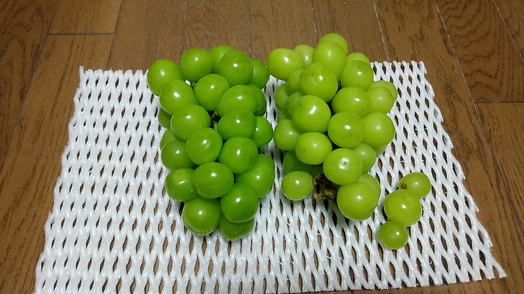 ぶどう 長野産 ご家庭用 シャインマスカット 約1kg 種なし 皮